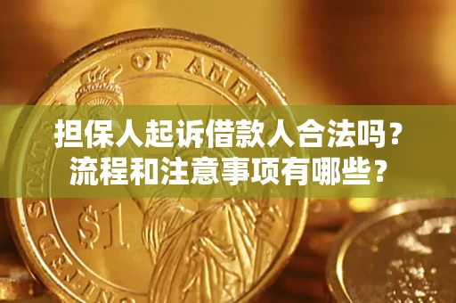 济南担保人起诉借款人合法吗？流程和注意事项有哪些？