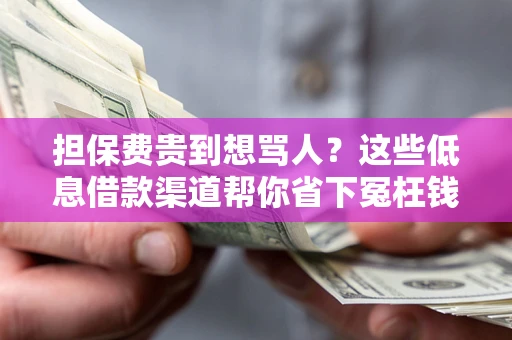 济南担保费贵到想骂人？这些低息借款渠道帮你省下冤枉钱