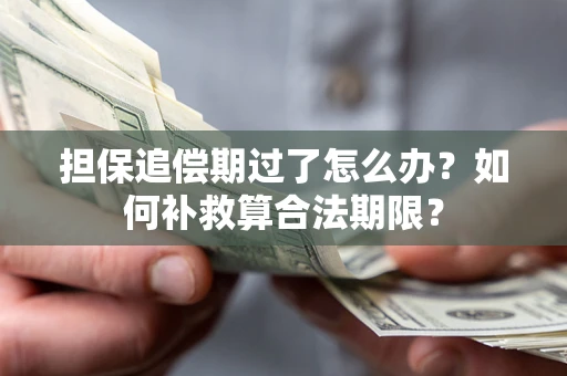 济南担保追偿期过了怎么办？如何补救算合法期限？