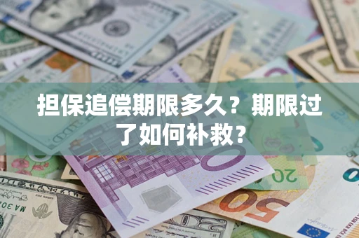 济南担保追偿期限多久？期限过了如何补救？