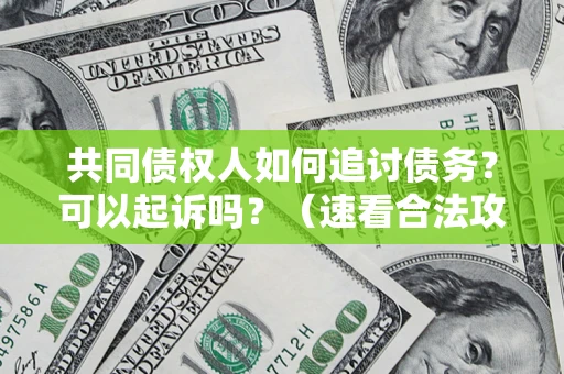 济南共同债权人如何追讨债务？可以起诉吗？（速看合法攻略）